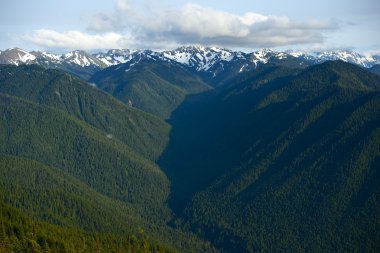 Olympic Mountains Panorama clipart