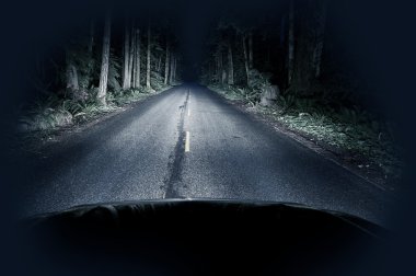 Night Driving Thru Forest clipart