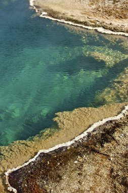 başparmak havuz portre