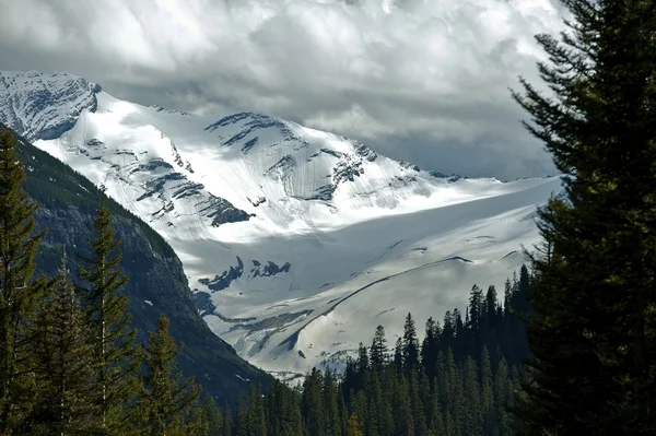 Gletscher — Stockfoto