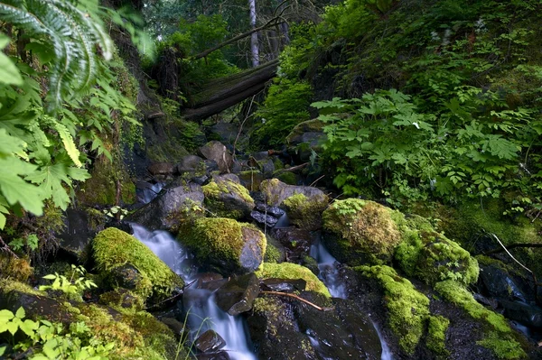 Rocky Creek. — Fotografia de Stock