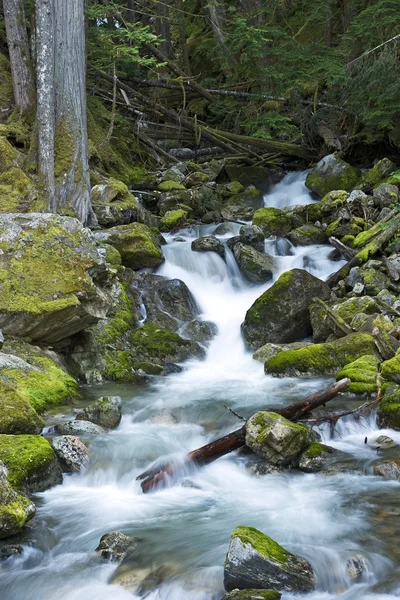 Rocky Creek — Stok fotoğraf