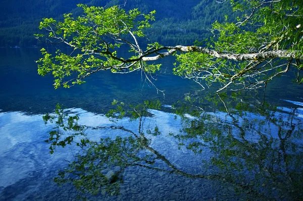 湖新月 — 图库照片