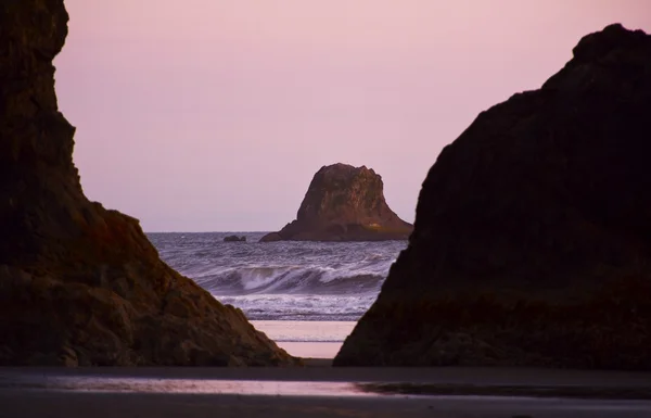 Côte du Pacifique rocheux — Photo