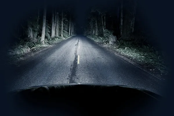 Noche conduciendo a través del bosque — Foto de Stock