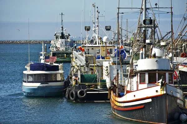 Small Pacific Harbor — Zdjęcie stockowe