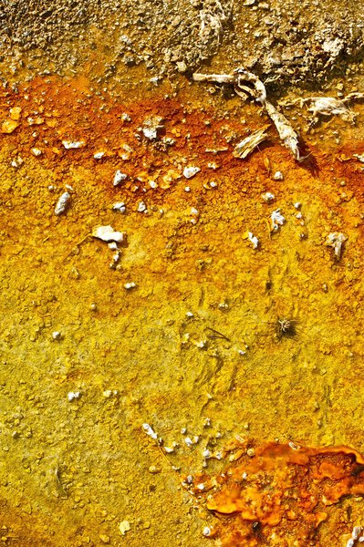 Orange Toxic Soil