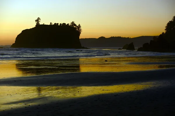 Washington State Shore — Stok fotoğraf