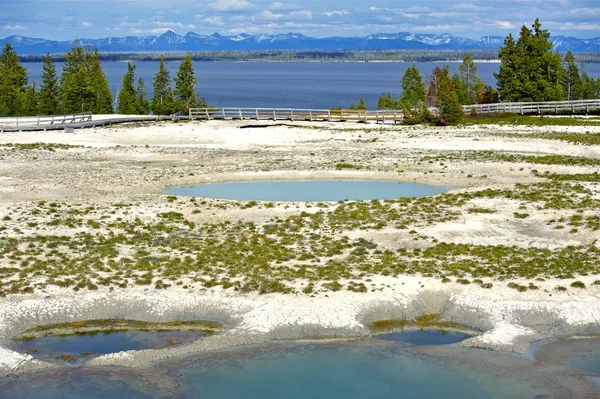 Yellowstone Park — Stock Photo, Image