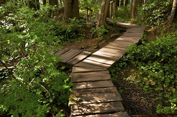 Two Ways Cross Trail