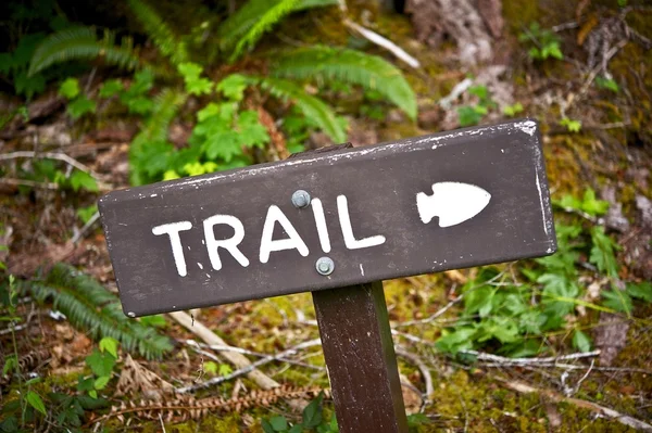 Trail Wood Sign — Stock Photo, Image