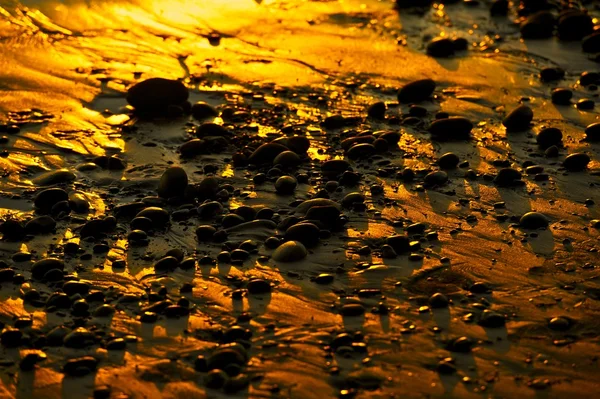 Gouden strand — Stockfoto