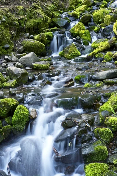 Tema del torrente di montagna — Foto Stock