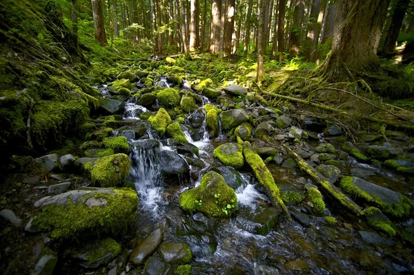 Fiume di montagna — Foto Stock