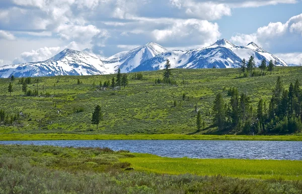 Norra yellowstone — Stockfoto