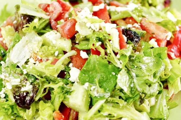 Salada Caesar — Fotografia de Stock