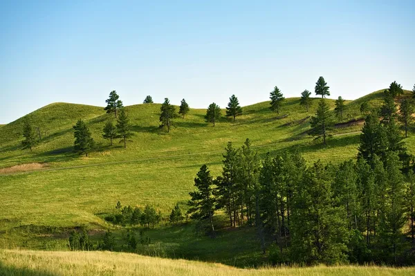 Paisaje de Black Hills — Foto de Stock