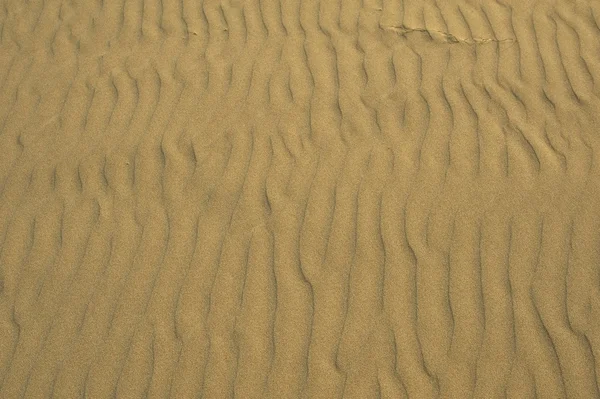 Beach Sand Background Stock Photo