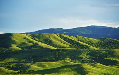 Montana ABD
