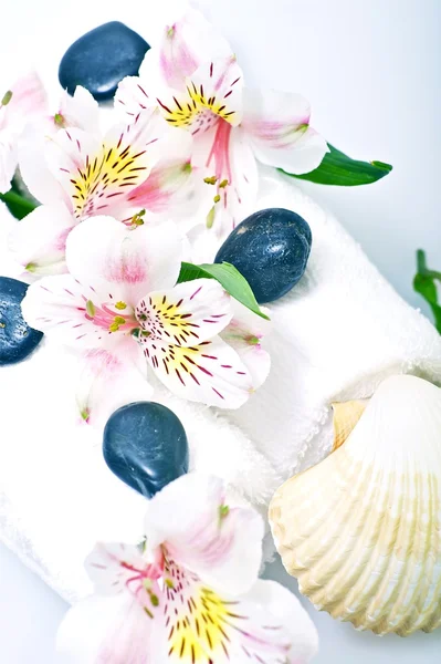 Towels, Flowers and Shells — Stock Photo, Image