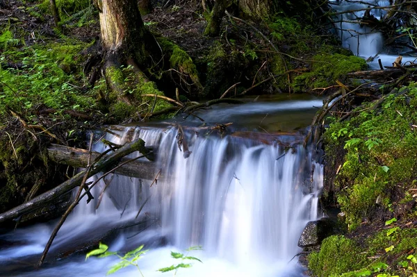 Piccola cascata — Foto Stock