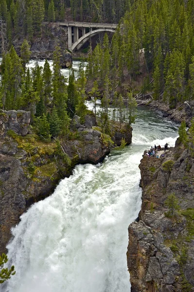 Superior cai yellowstone — Fotografia de Stock