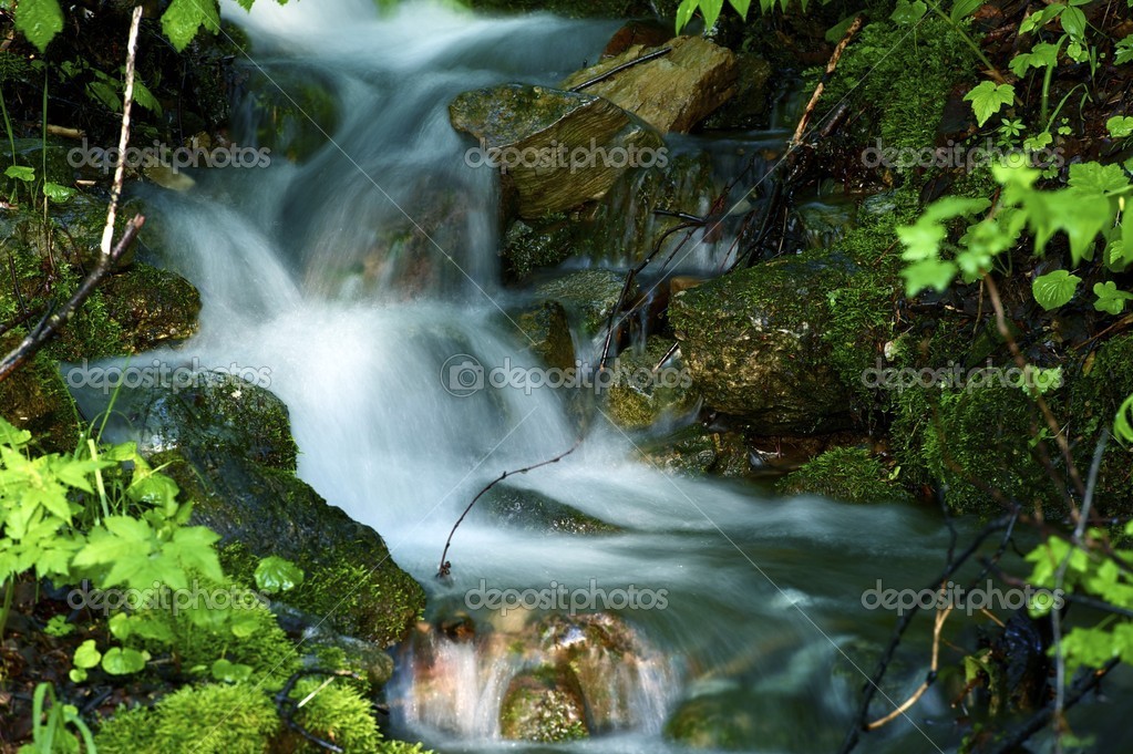 Nature Creek — Stock Photo © 17632489