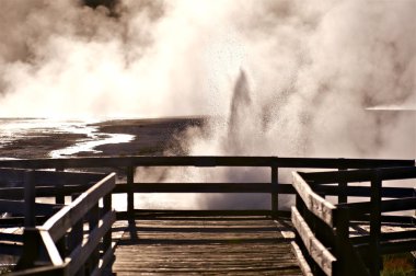 siyah kum Havzası yellowstone