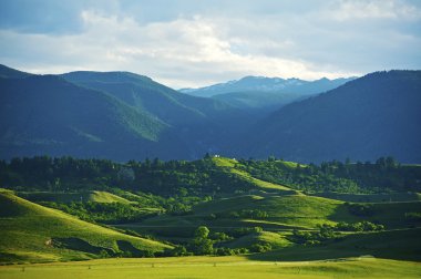Montana Landscape clipart