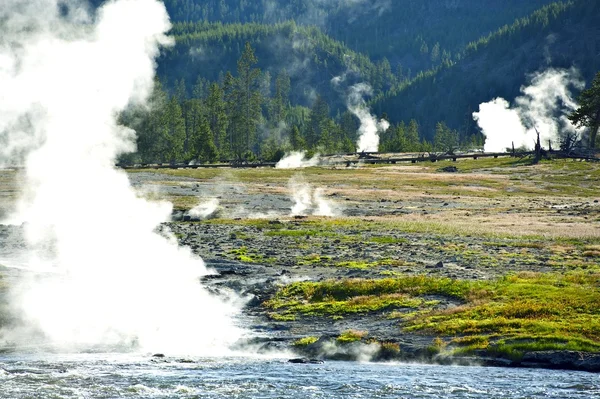 Ångande yellowstone — Stockfoto