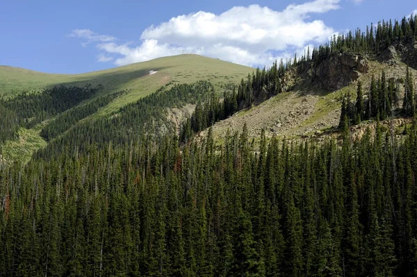 Colorado Landscape — Stock Photo, Image