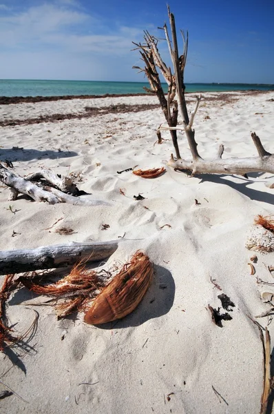 White Sands — Stock Photo, Image