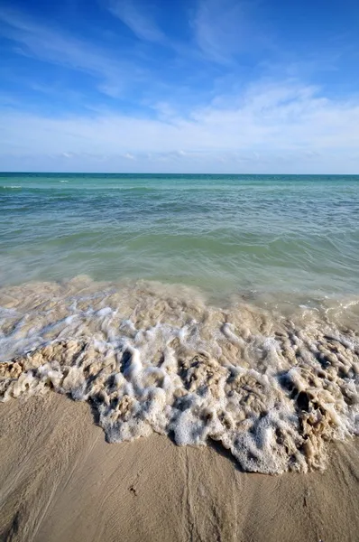 Fronte oceano — Foto Stock