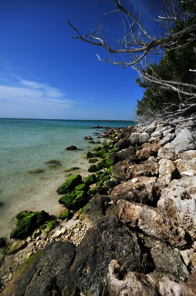 Rotsachtig strand — Stockfoto