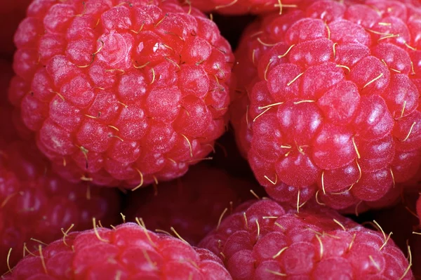 Raspberries Macro — Stock Photo, Image