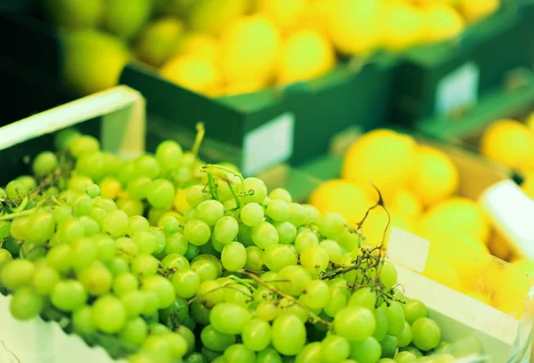 Fresh Grapes — Stock Photo, Image