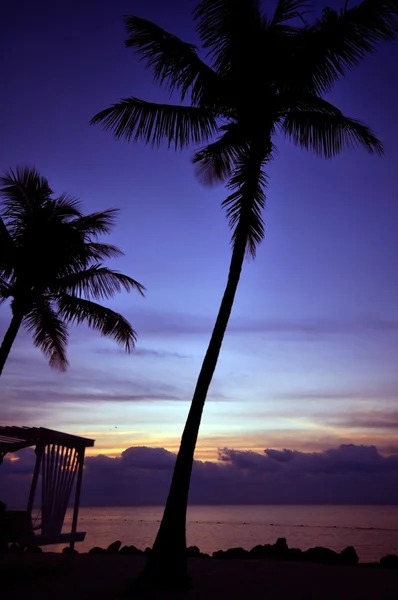 Islamorada Sunrise — Stock fotografie