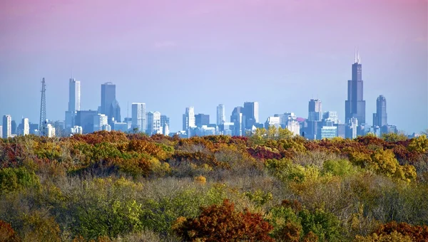 Panorama chicago — Stock fotografie