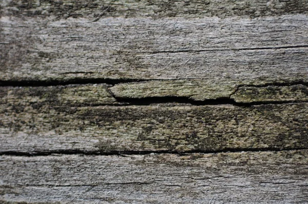 Old Wood — Stock Photo, Image