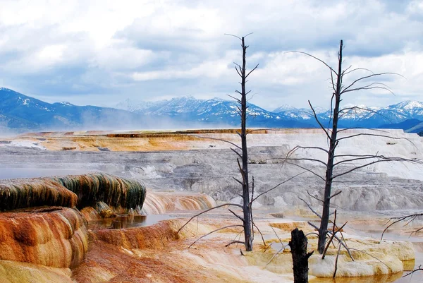 Yellowstonen maisema — kuvapankkivalokuva