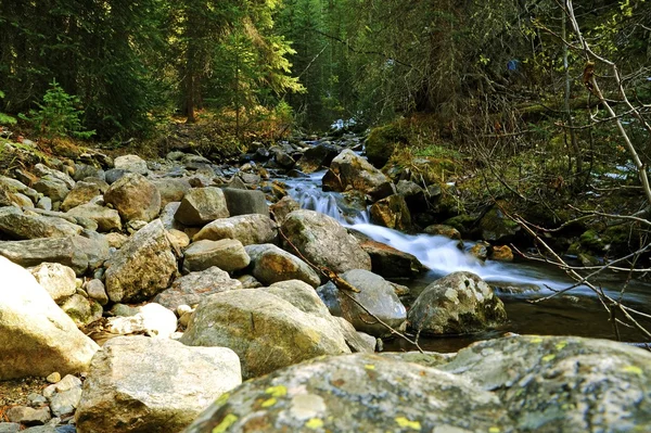 Colorado Mountain River — Stock Photo, Image