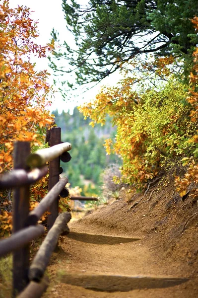 Sentiero di montagna — Foto Stock