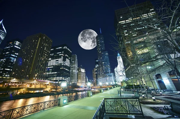 Chicago Estados Unidos — Foto de Stock