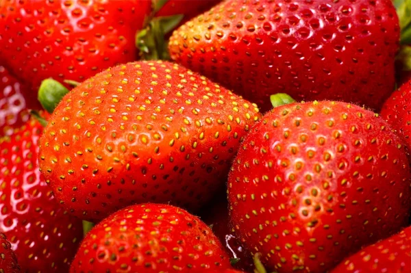 Erdbeeren — Stockfoto