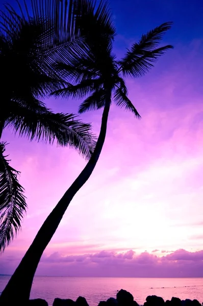 Tropical Sunrise — Stock Photo, Image