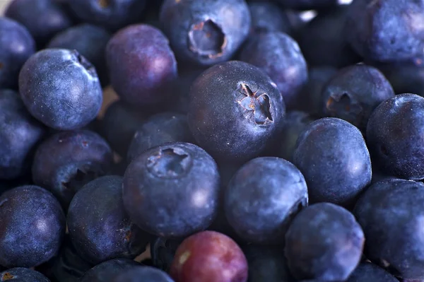 Blueberries — Stock Photo, Image