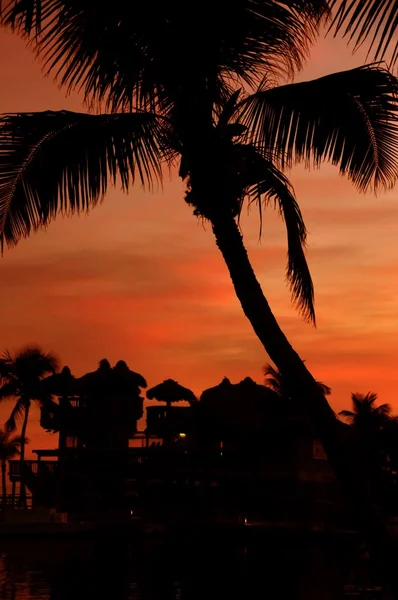 Florida Heat — Stock Photo, Image