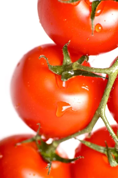 Tomates Frescura —  Fotos de Stock