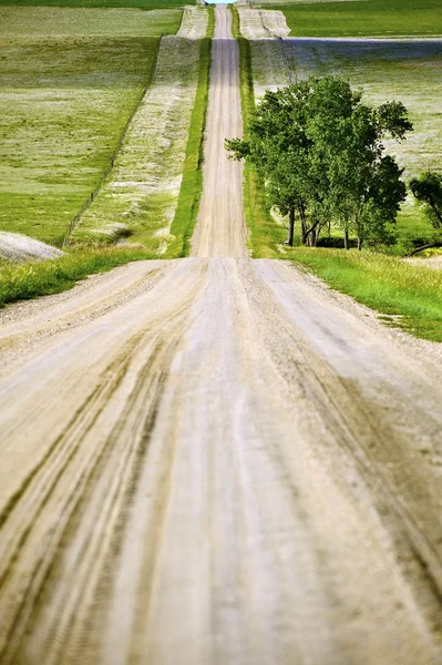 Проселочная дорога — стоковое фото