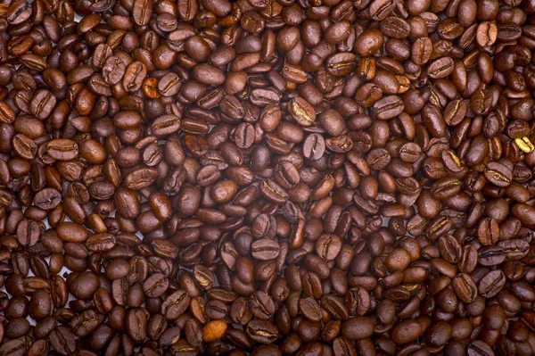 Coffee Beans — Stock Photo, Image